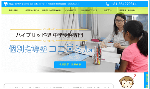 アメリカ,ヨーロッパ,アジアなどに駐在している日本人の帰国子女向けの学習指導